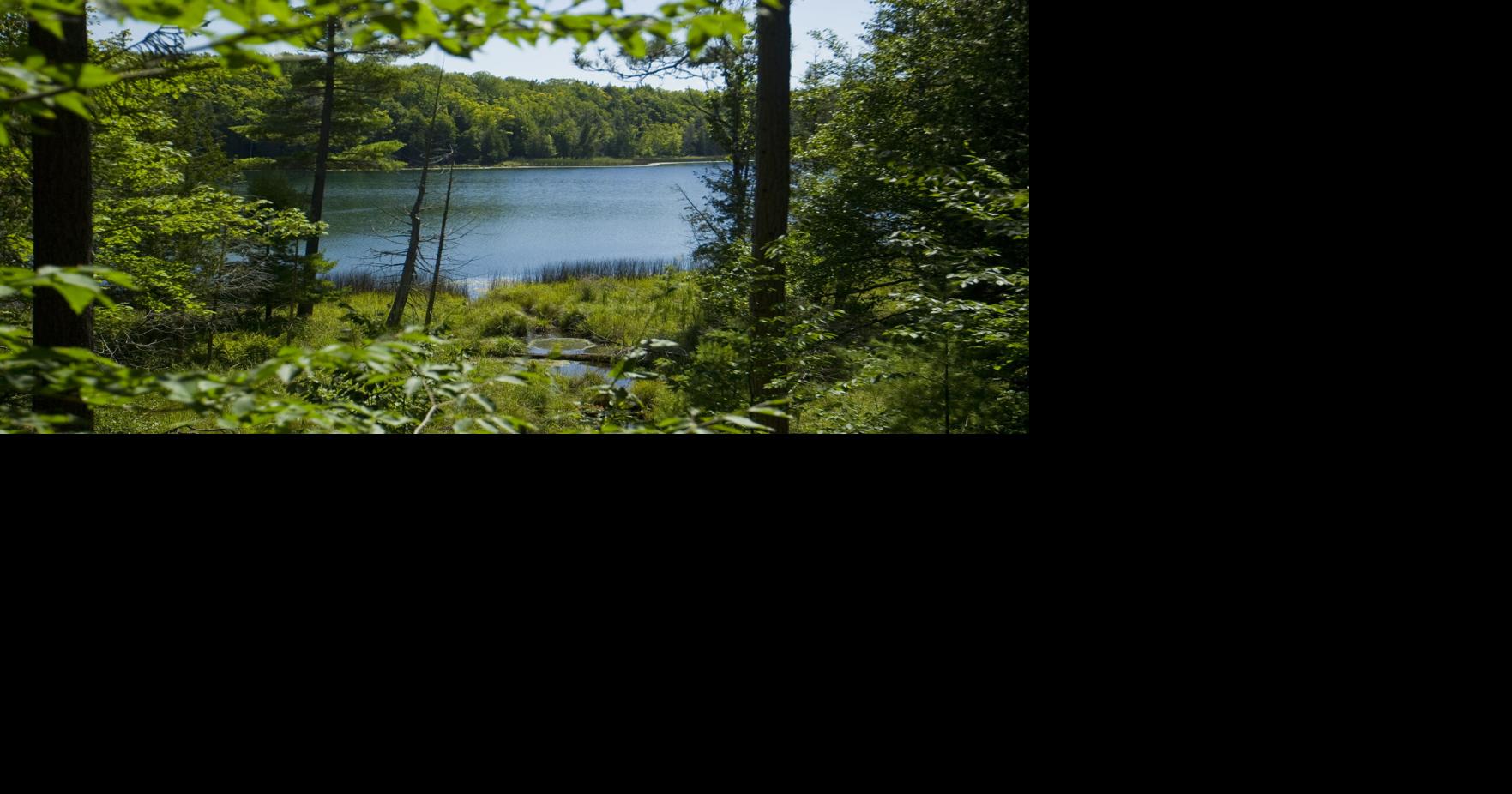 Lower Woodcock Lake Preserve opens to the public; conservancy campaign