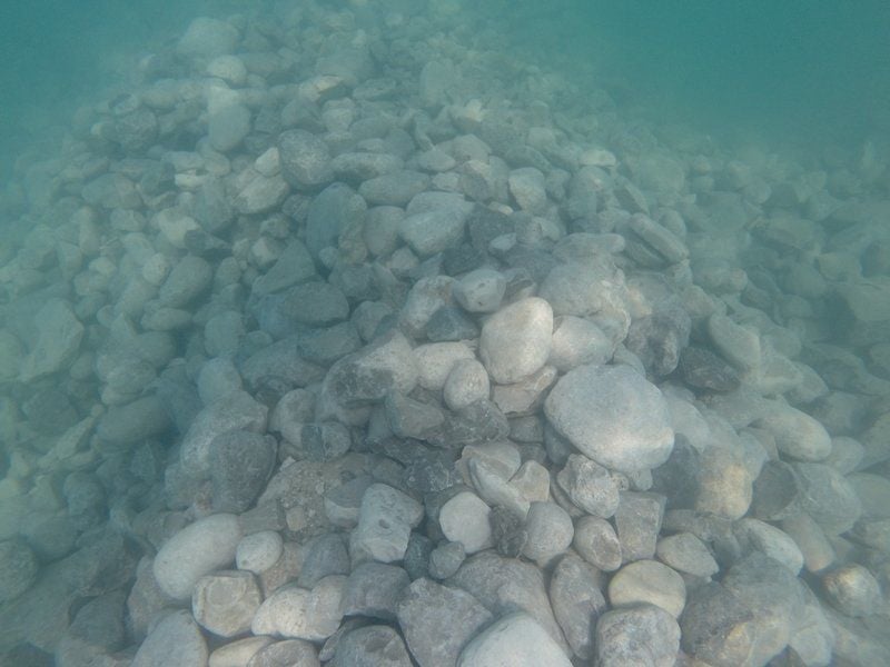 Raising reefs