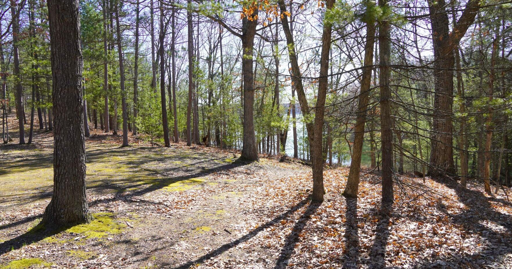 GRAND TRAVERSE COUNTY: Board approves GO-REC purchase - Vimarsana News