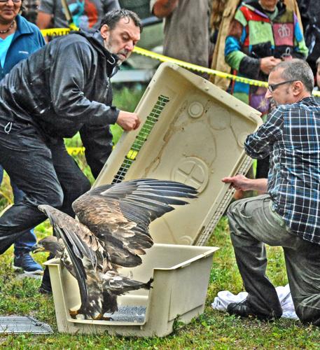MemDayFlags | Local News | record-eagle.com