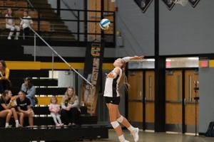 Prep roundup: TCC's Heffner spikes 1,000th kill; Onekama wins battle of ranked spikers; TC Tritons win tri meet