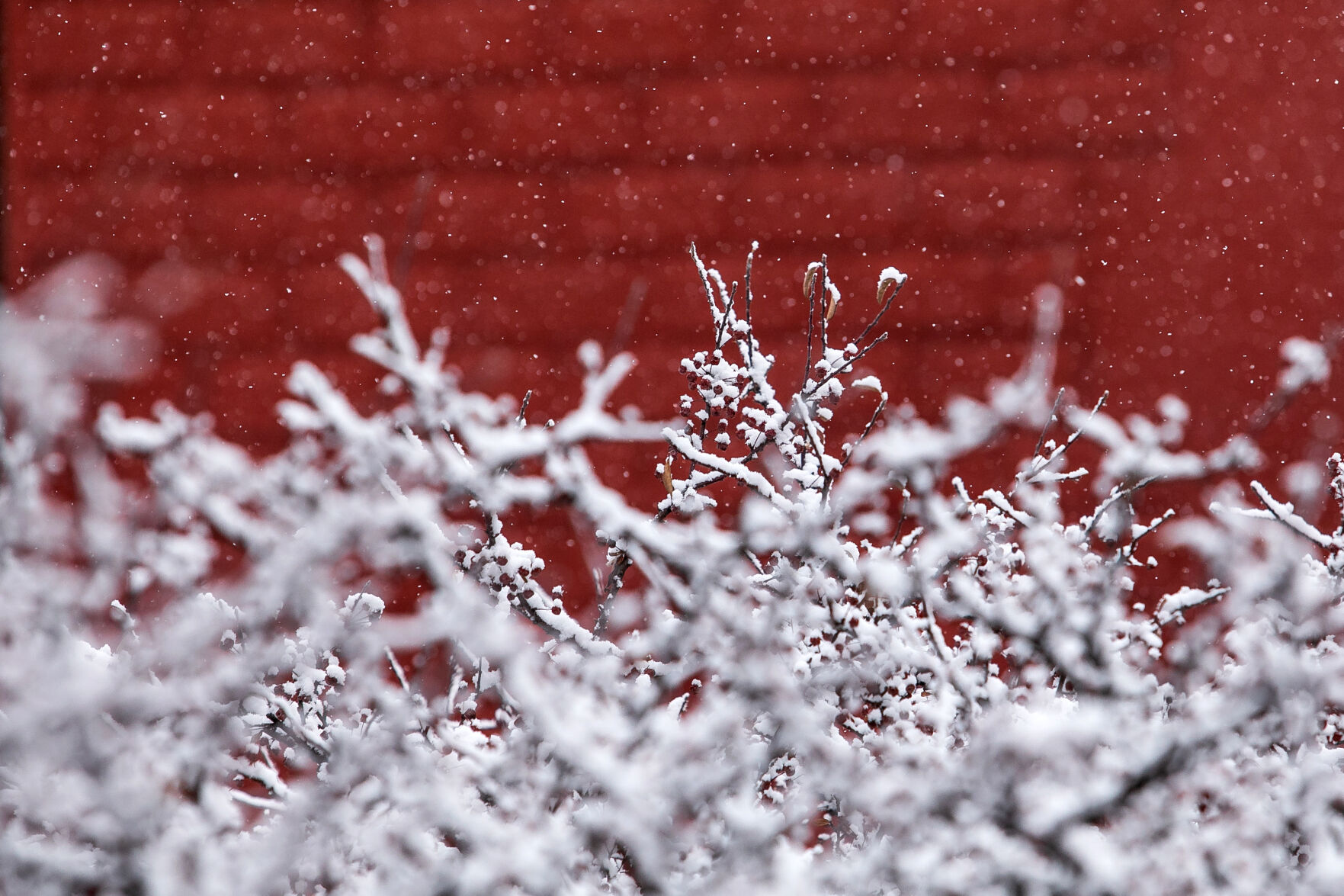 Winter Traverse City MI