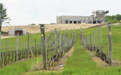 Innovator Mari Vineyards Extends Growing Season Business Record Eagle Com