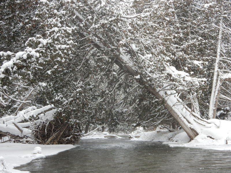 トリニティ Mike Terrell: Winter rafting makes for cold, beautiful excursion