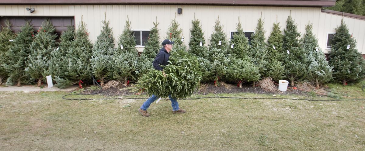 Growing Commerce Dutchman Tree Farm Has Record Year The Biz Record Eagle Com