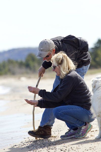 Mind The Find Petoskey Stone Picking Comes With 25 Pound Limit