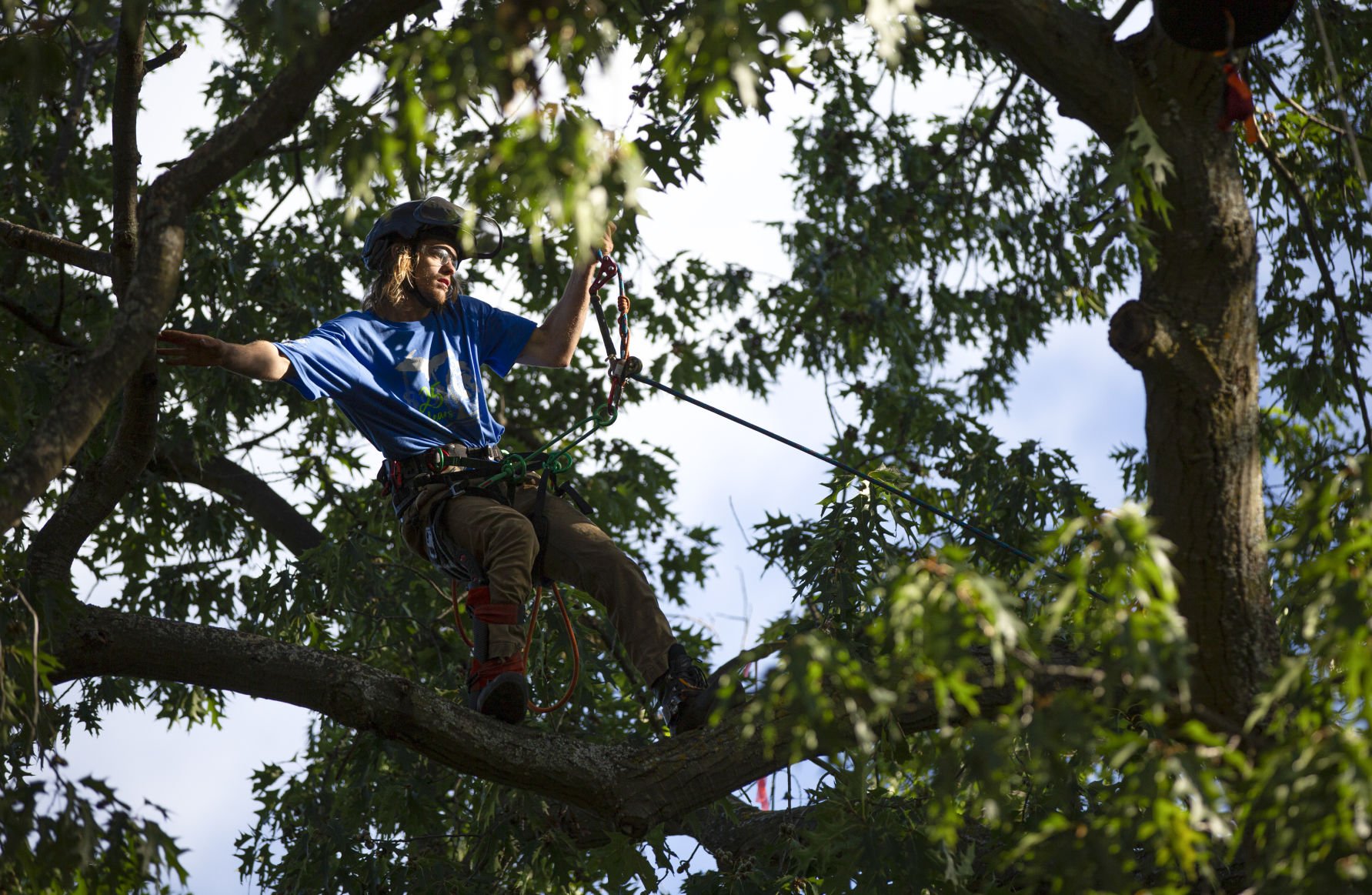 Michigan Tree Climbing Championship draws 41 climbers to TC Local