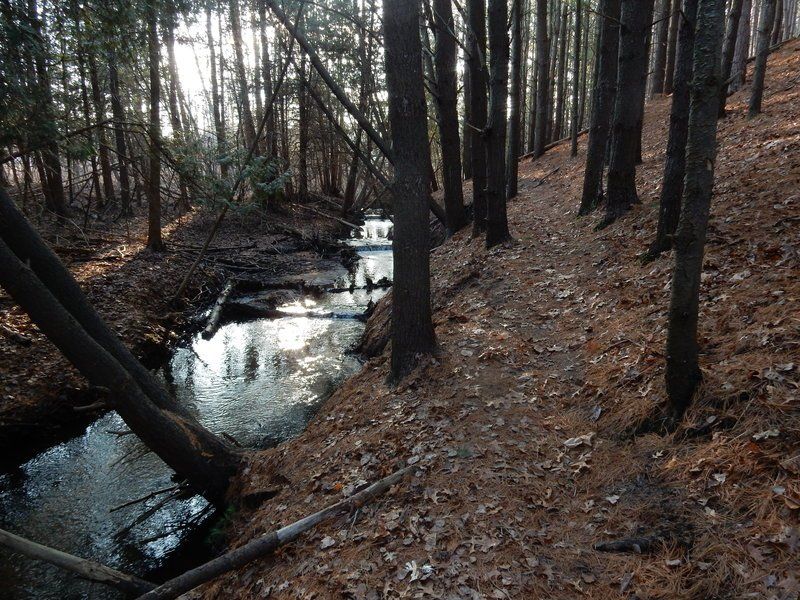 Mike Terrell Miller Creek Nature Reserve offers scenic hiking GO