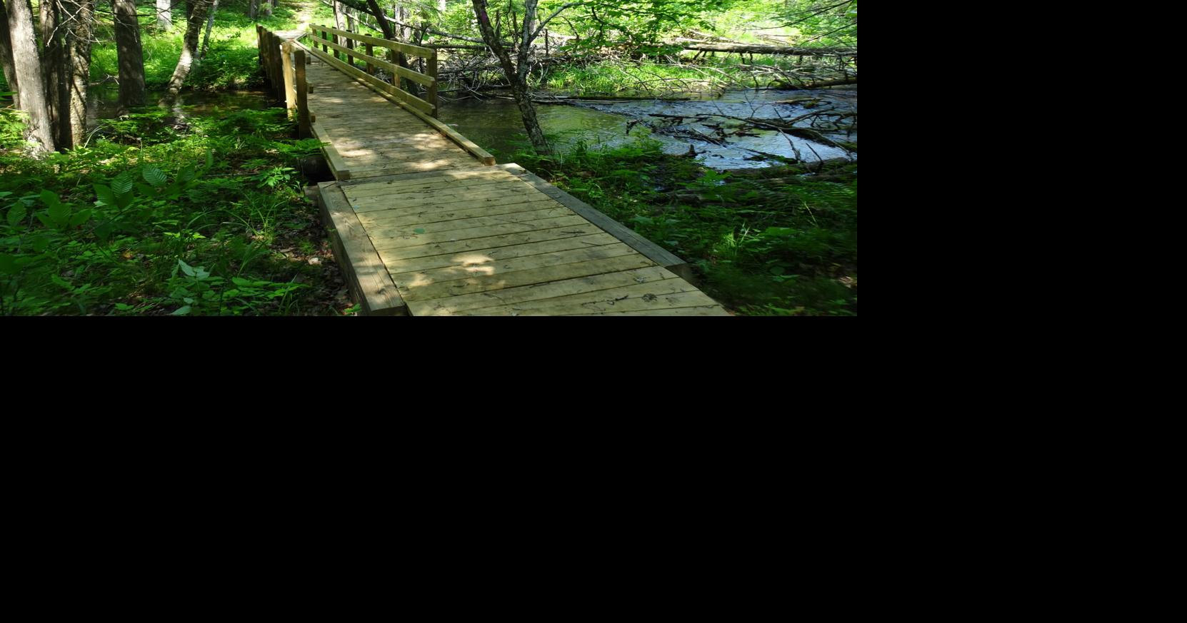 On the Trails Lower Woodcock Lake Nature Preserve new trails offer
