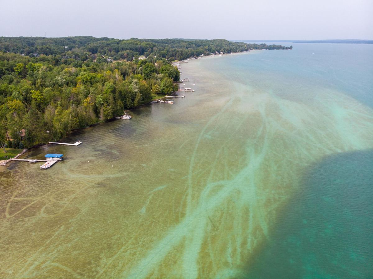 Torch Lake Blues Turn Brown Torch Lake Protection Alliance Seeks Water Chemistry Brown Algae Analysis Local News Record Eagle Com