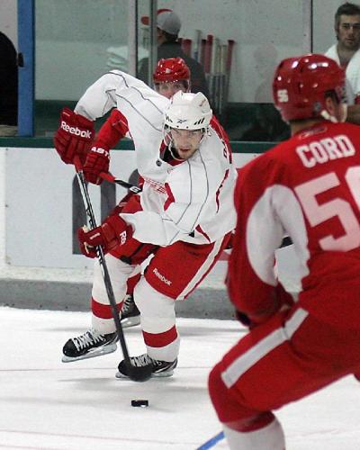 Red Wings Start Training Camp Sports Record Eagle Com