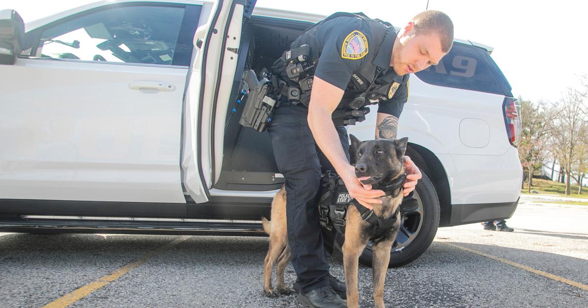 Double dog wear: TCPD rolls out custom K9 patrol cars | Local News |  record-eagle.com
