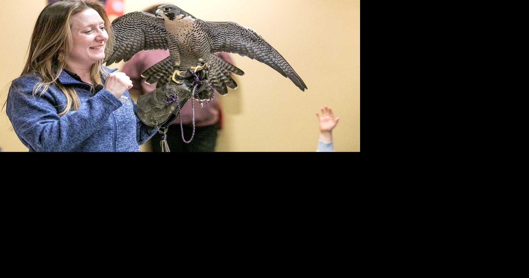 RAPTOR SHOW | Local News | record-eagle.com