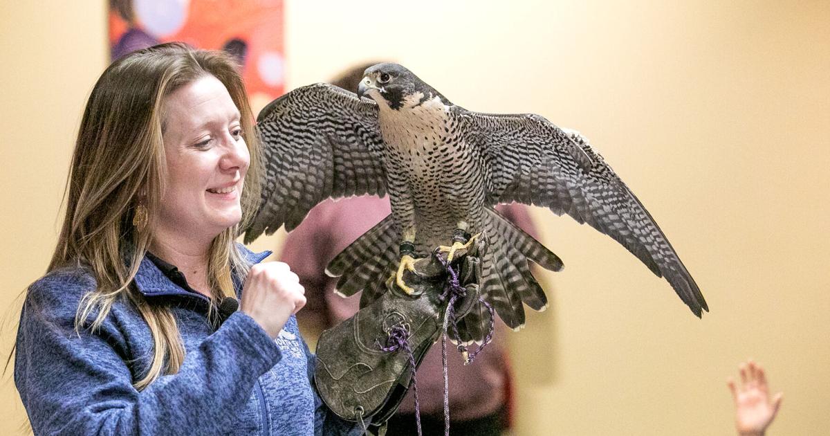 Tuscon Raptor Show RAPTOR SHOW | Local News | record-eagle.com
