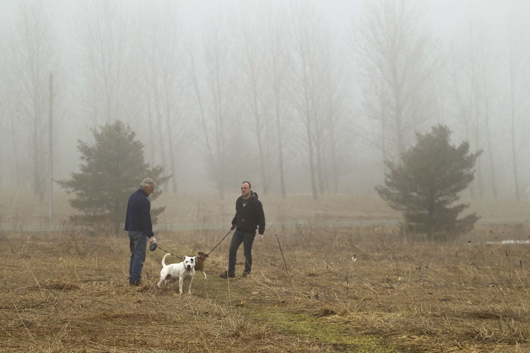great lakes humane society traverse city mi