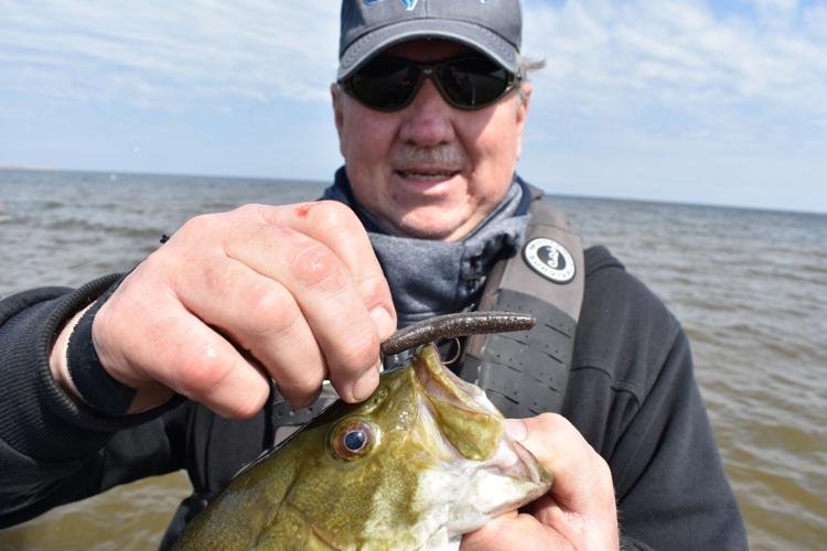 Saginaw Bay Bass by Bob Gwizdz – Great Lakes Angler