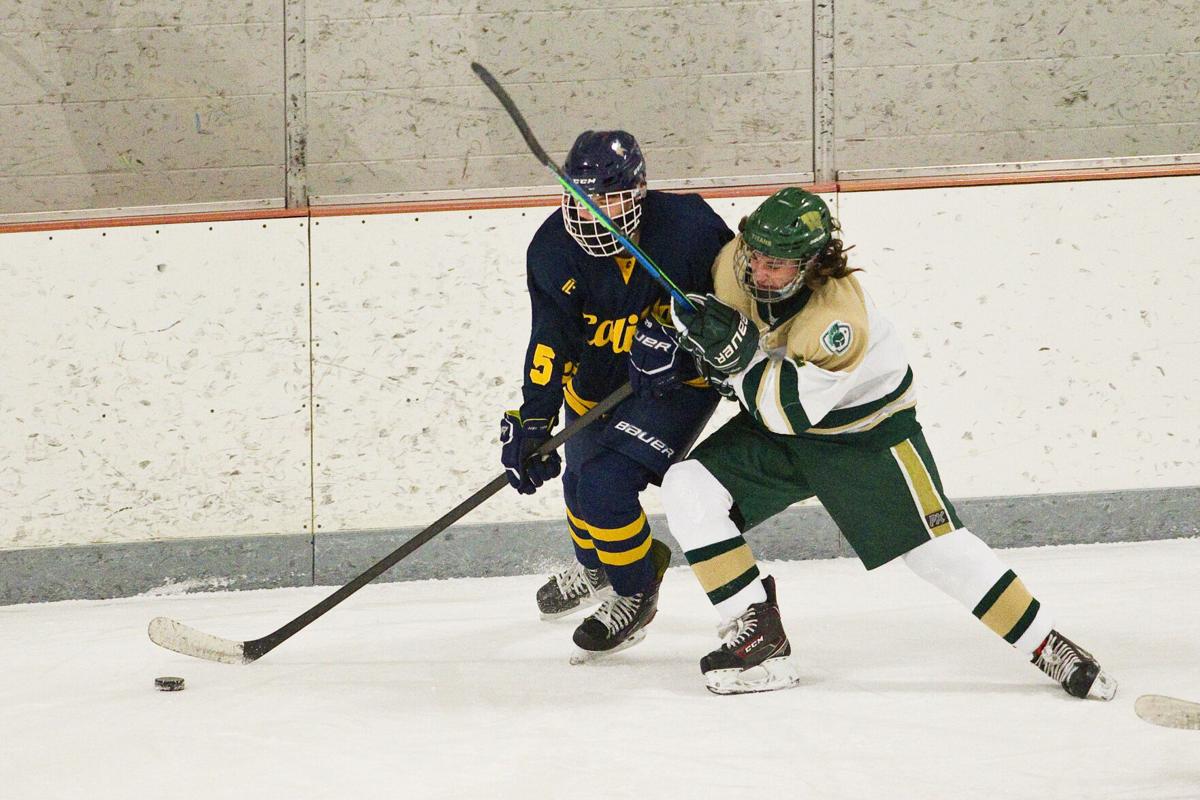 Prep Roundup: St. Francis rebounds with LMC win over East ...