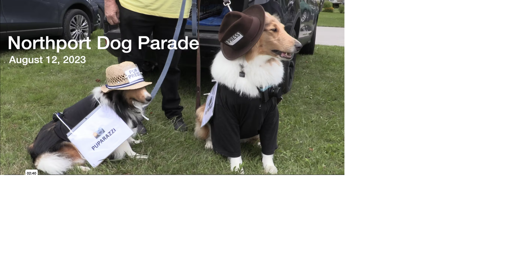 Video Northport Dog Parade Local News