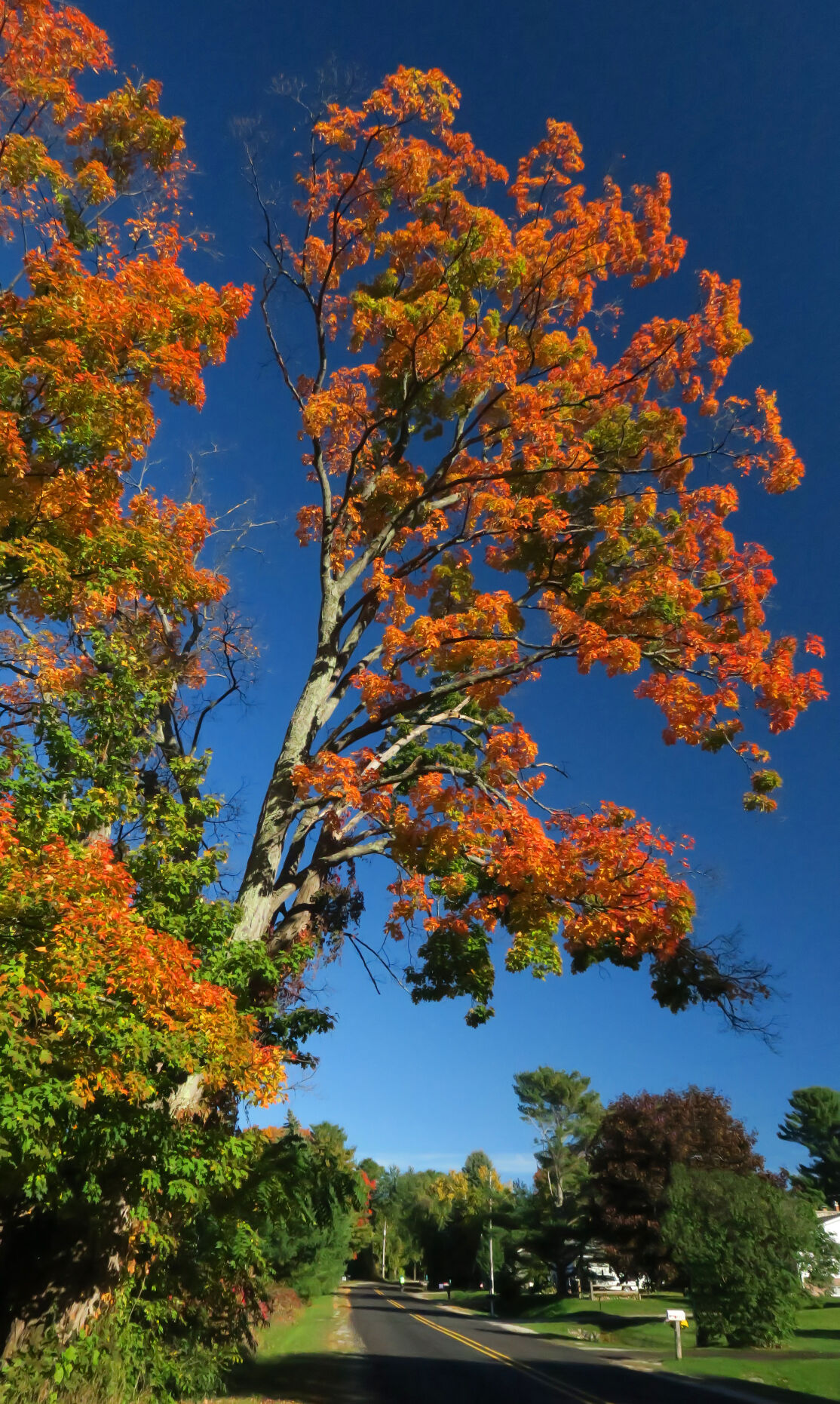 AutumnLakeLeelanauLake Leelanau on E Horn Road. Photo by Rebecca Abbott..jpg