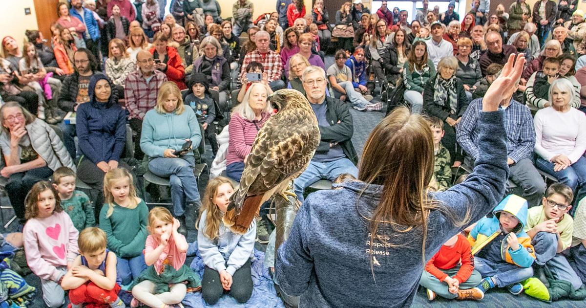 Tuscon Raptor Show RAPTOR SHOW | Local News | record-eagle.com