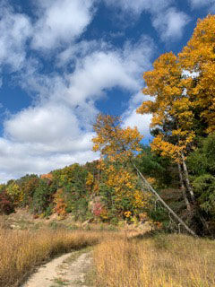 goeyes111920BoardmanRiverTrail. Photo by Pam Lassers..jpg