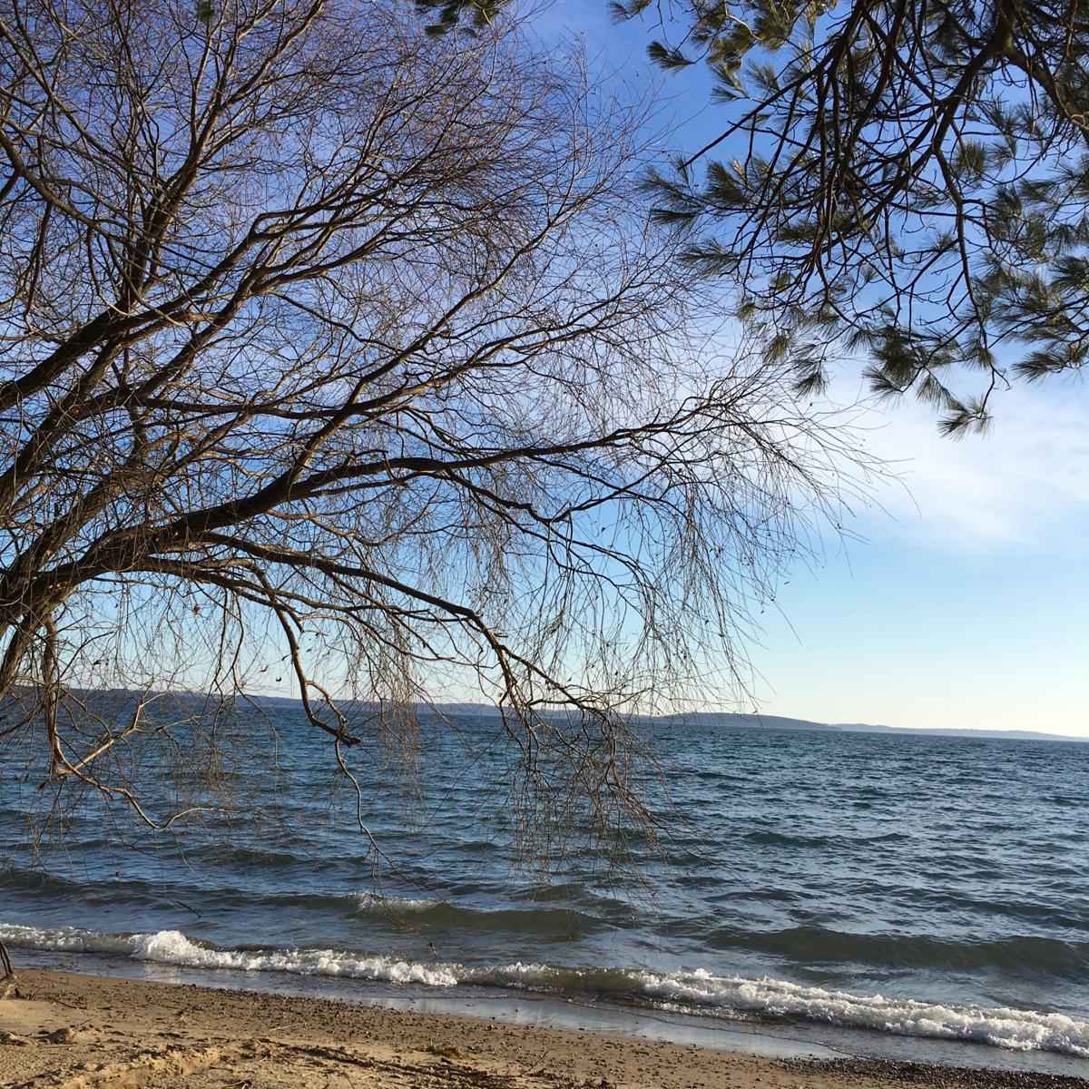 goeyes013020everettwaisanenleepoint.jpg