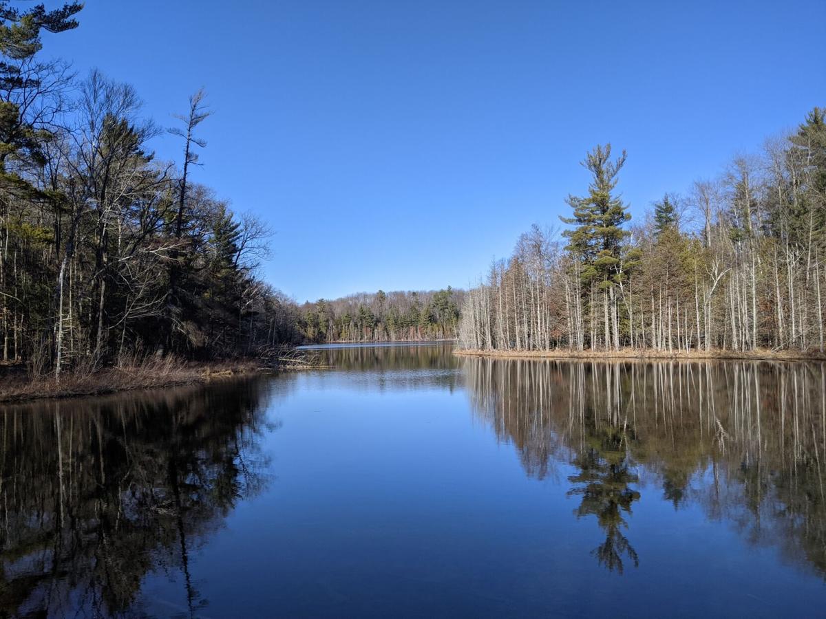 goeyes042921-Ranson Lake Natural Area. Photo by Deb Lannen.jpg