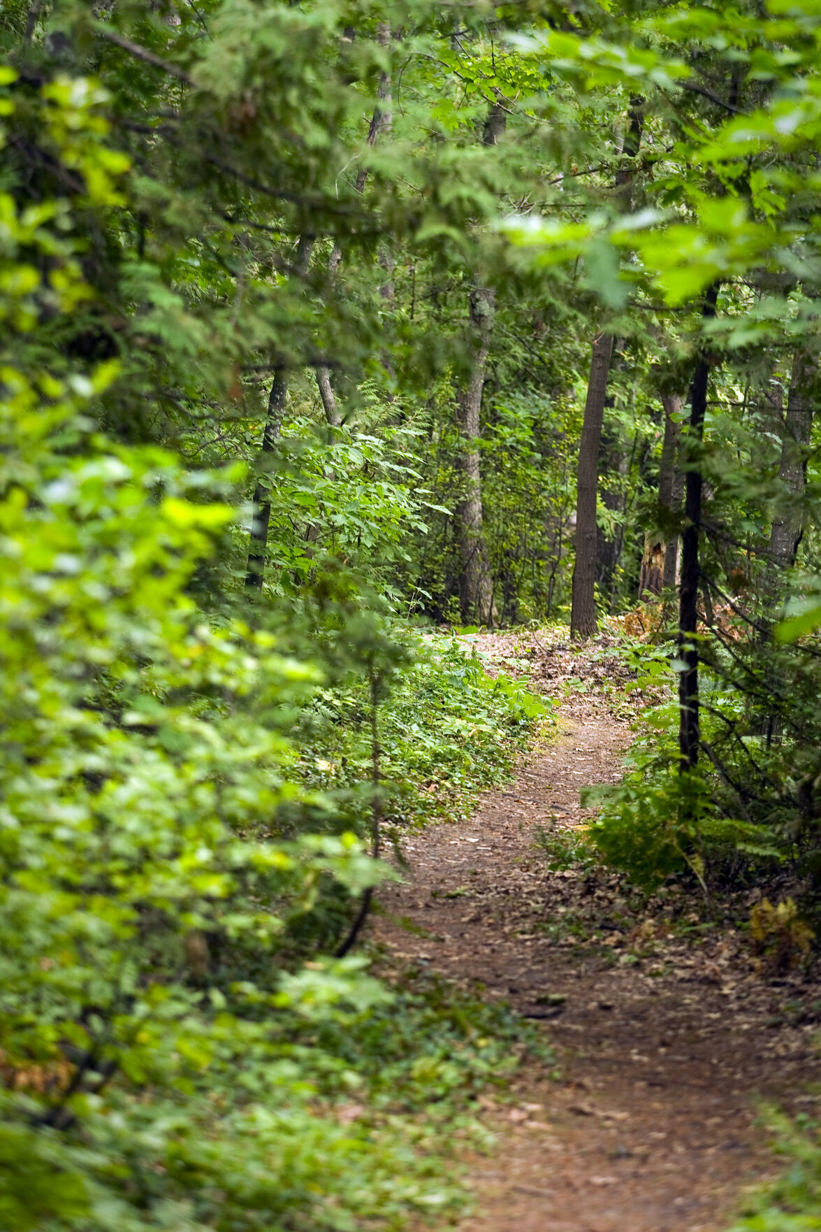 Trail Talk Antrim County survey shows focus on trails, beaches Local News