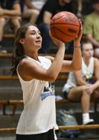 Beyond the arc: Glen Lake's Bradford, Benzie Central's Childers win 3-point contests