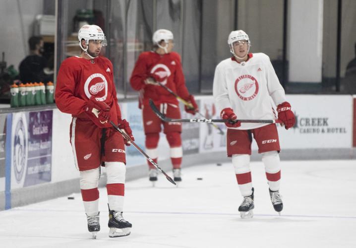 Red Wings team fully-vaccinated, except for F Tyler Bertuzzi