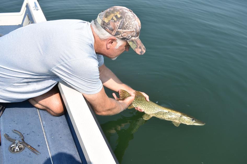 Bob Gwizdz Big Pike Feel The Squeeze News Record Eagle Com