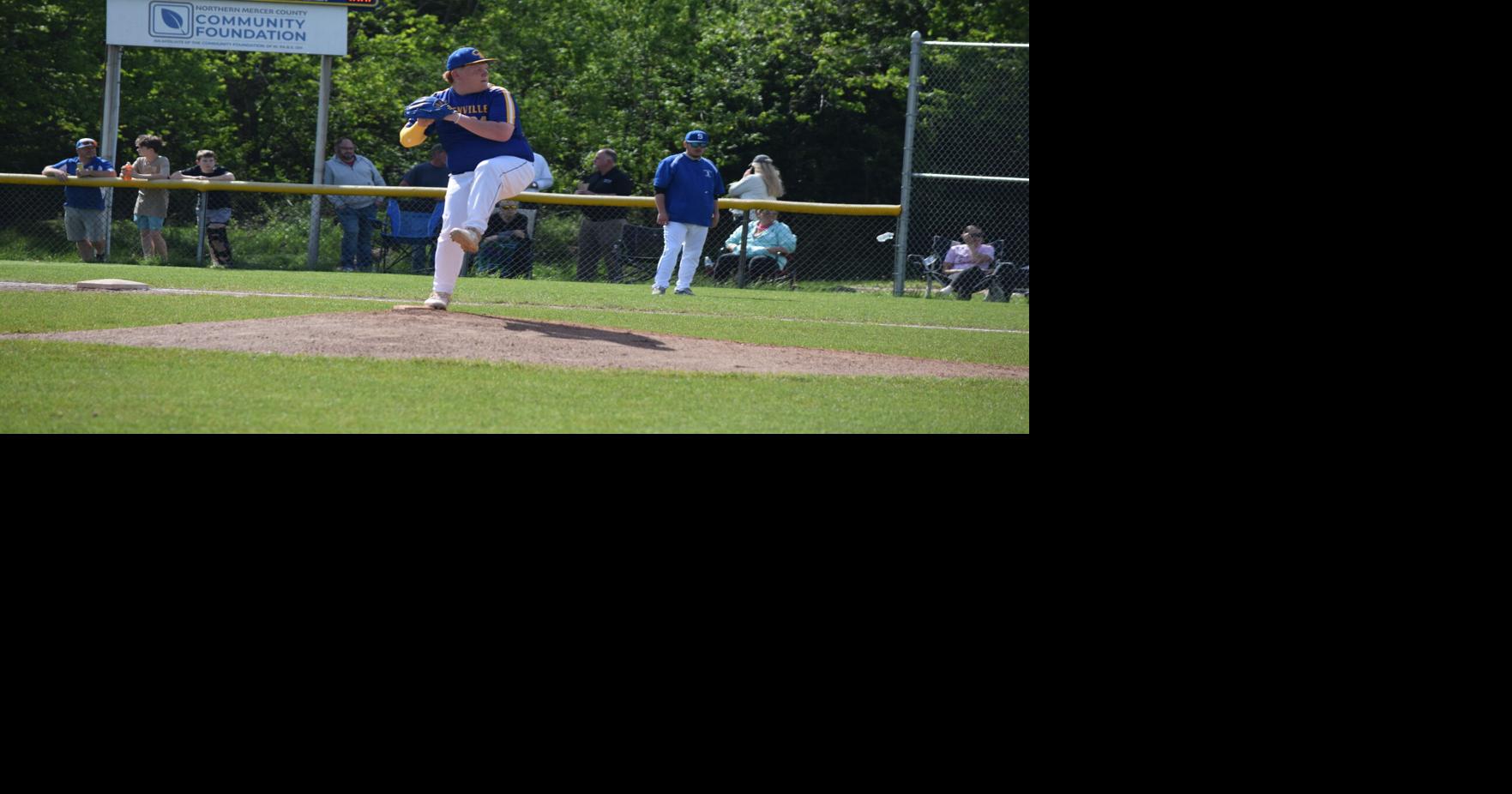 The 2026 All-Record-Argus baseball teams