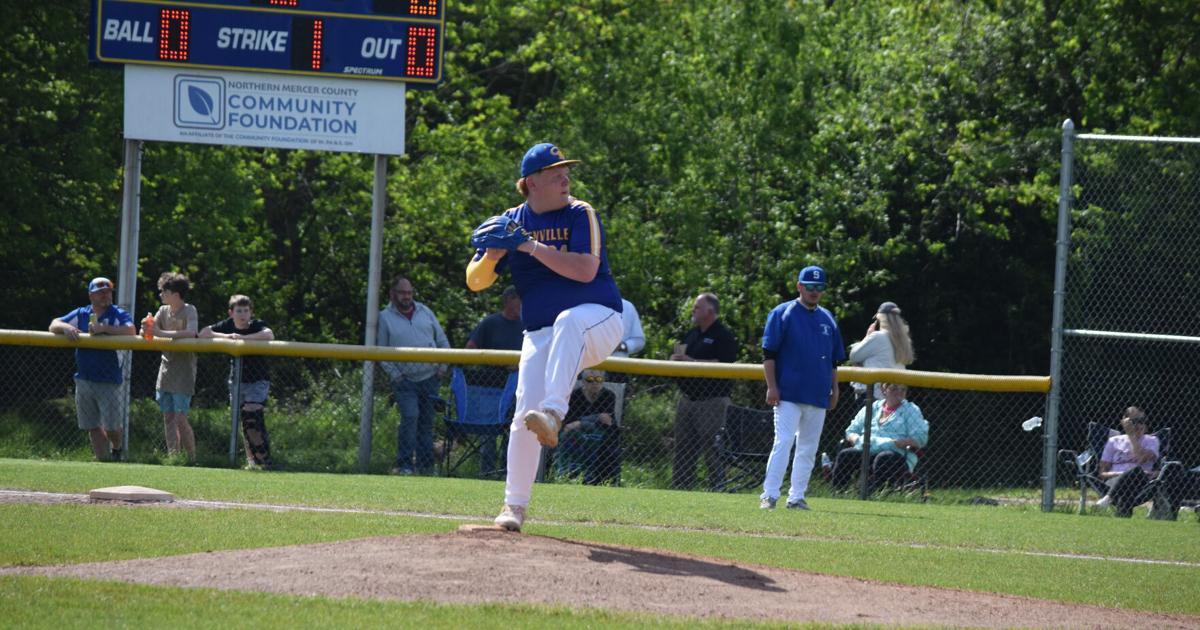 The 2026 All-Record-Argus baseball teams