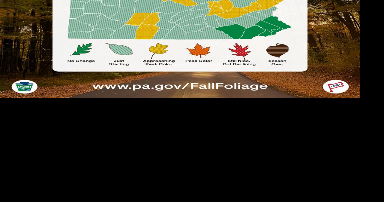 Foliage experts: Get out early to catch fall color, before it's gone ...