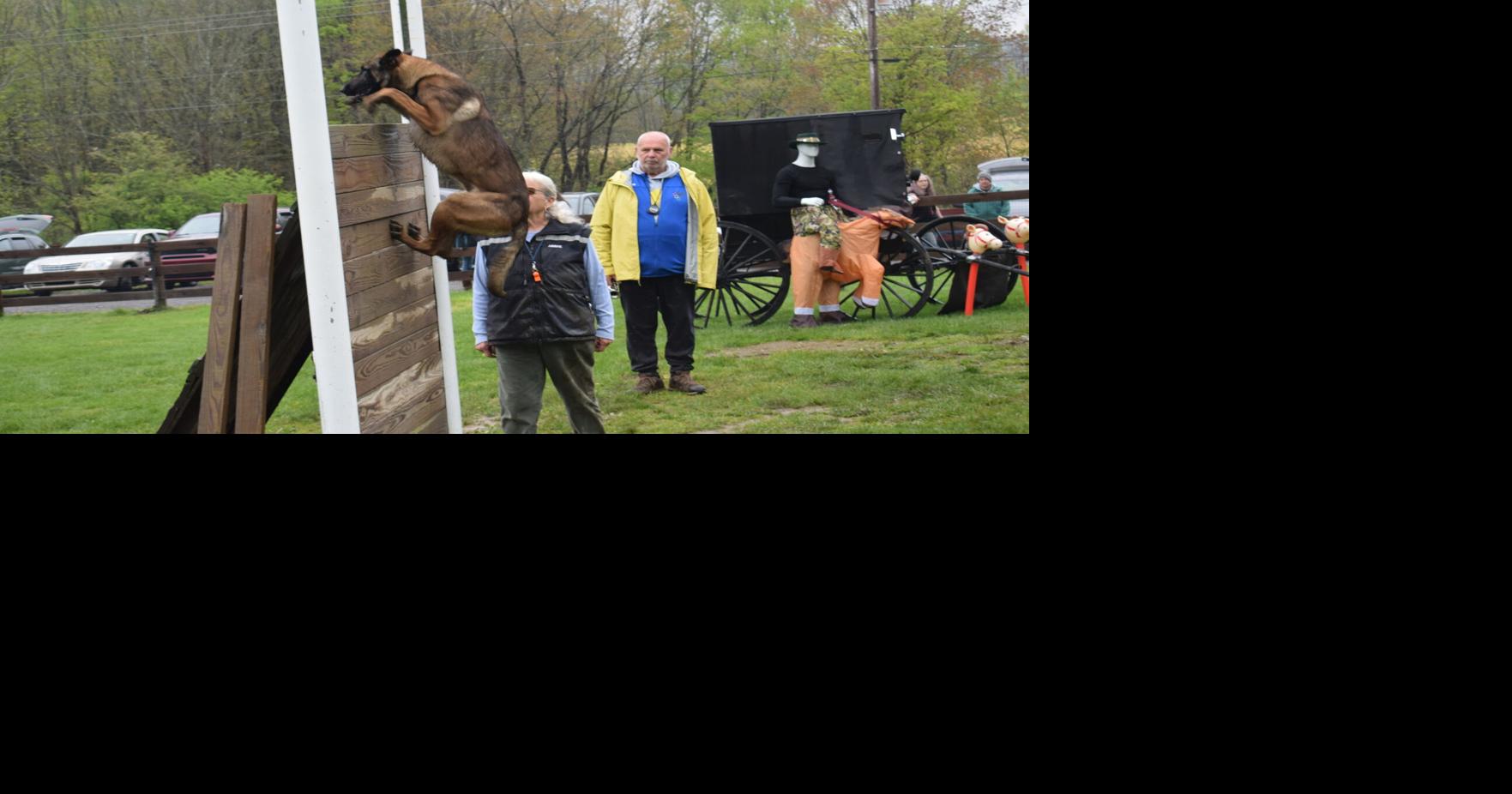 Going to the dogs in Perry Township | News | recordargusnews.com