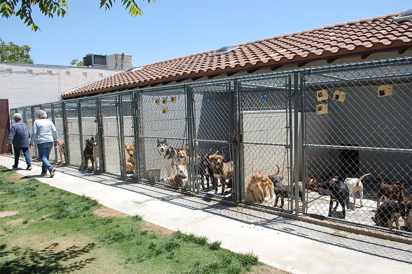 Banning to terminate animal shelter contract with ARE Local News