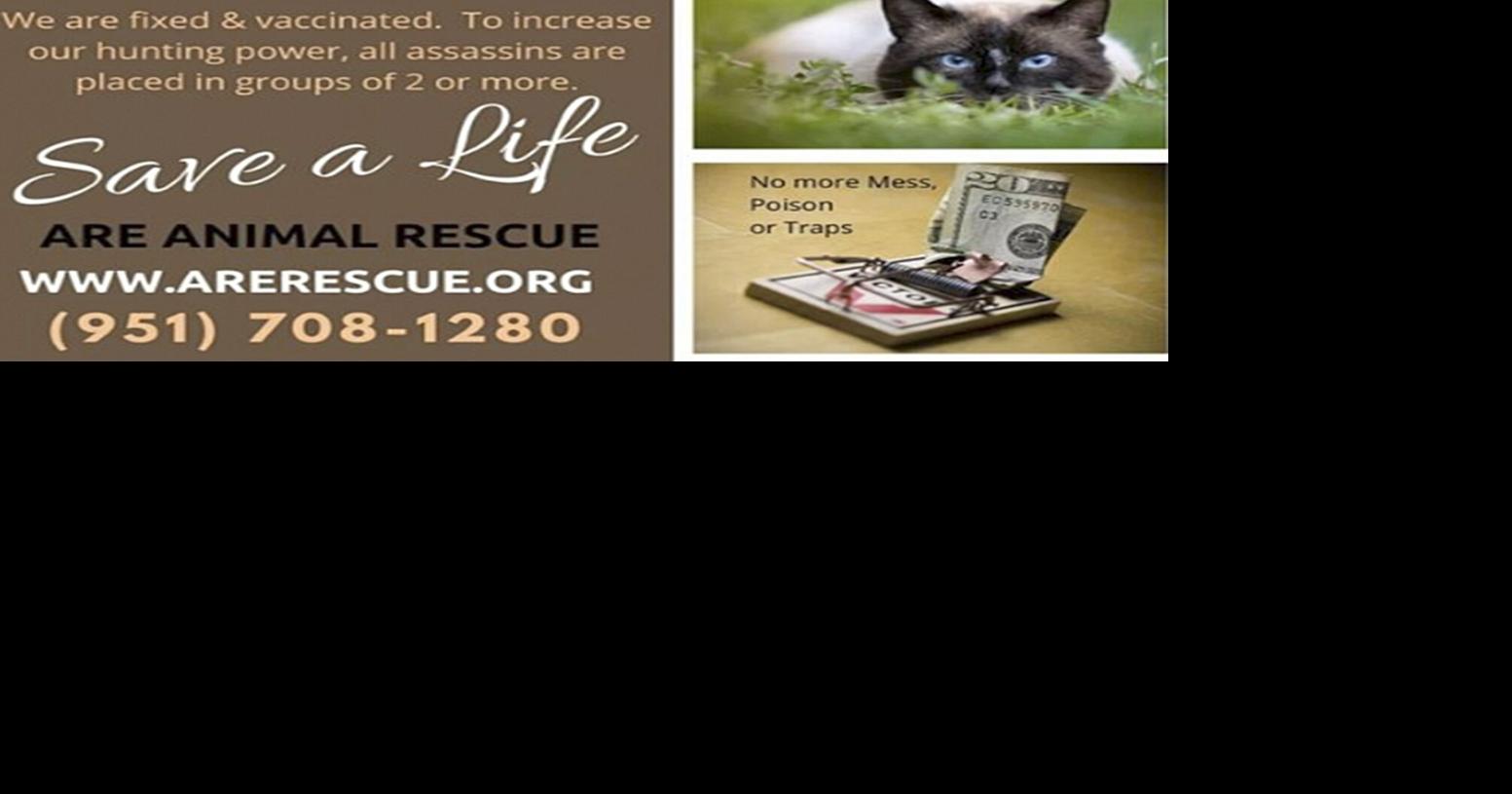 Banning approves agreement with ARE Animal Rescue News