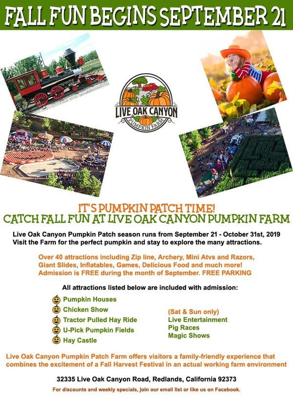 Live Oak Pumpkin Farm in Redlands opens this weekend