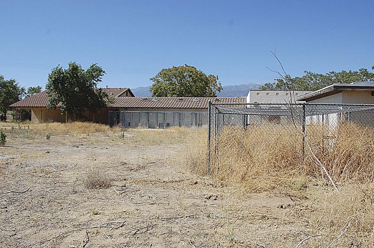 Cost of reinvigorating Banning Animal Shelter trumps rising county fees Cost of reinvigorating Banning Animal Shelter trumps rising county fees