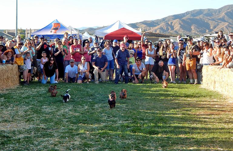 Oktoberfest featured authentic German traditions during three ...