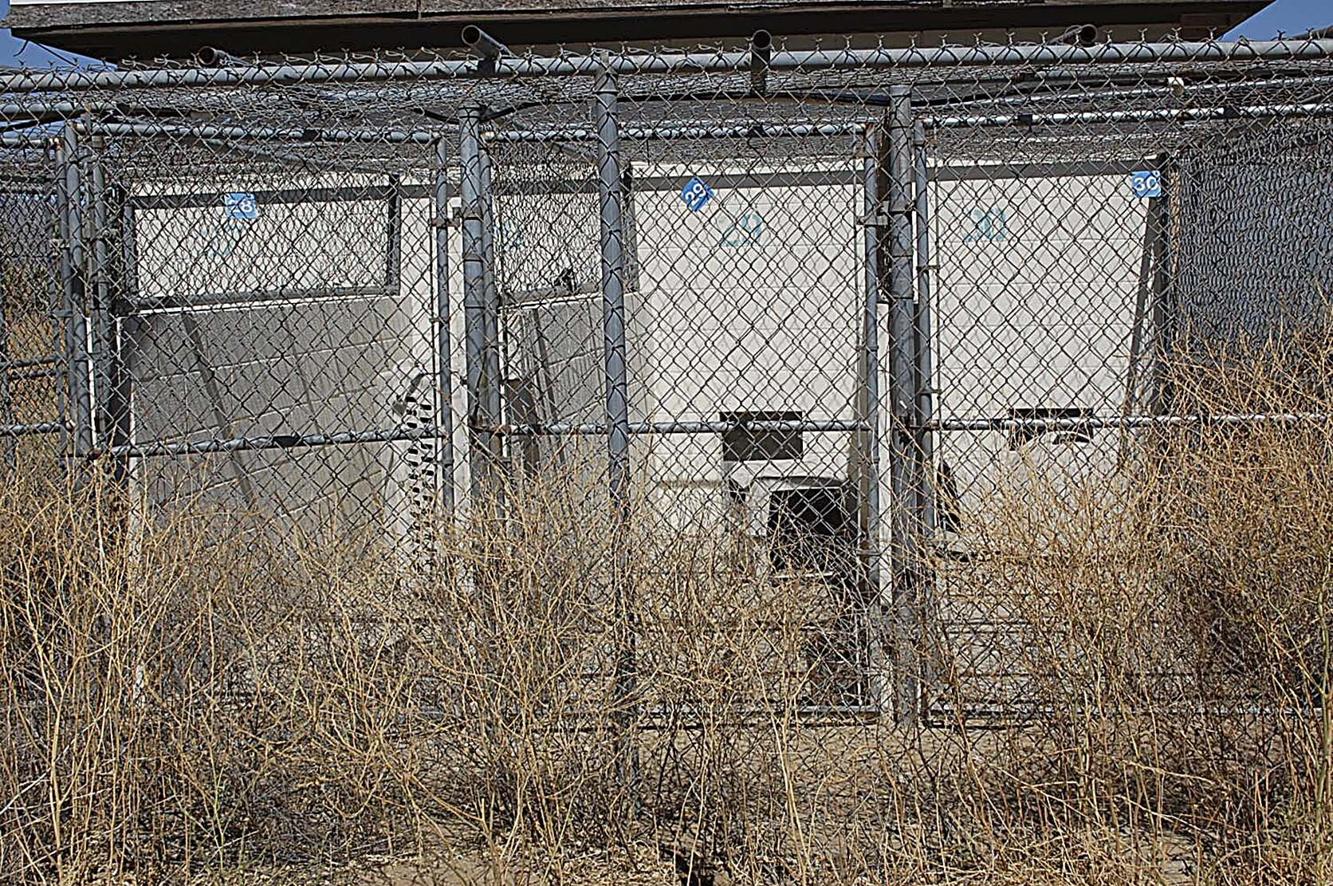 Cost of reinvigorating Banning Animal Shelter trumps rising county fees Cost of reinvigorating Banning Animal Shelter trumps rising county fees