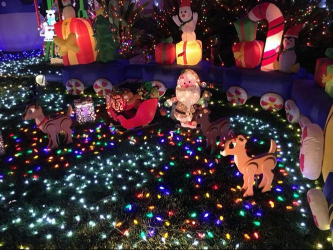 Judging by Christmas lights, it will be a good year