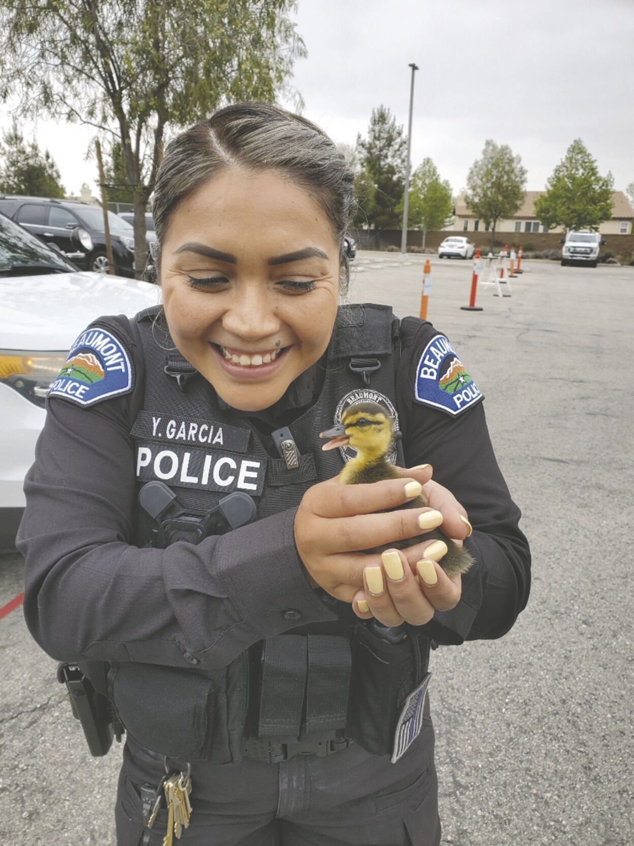 Beaumont extends animal control agreement with Calimesa News