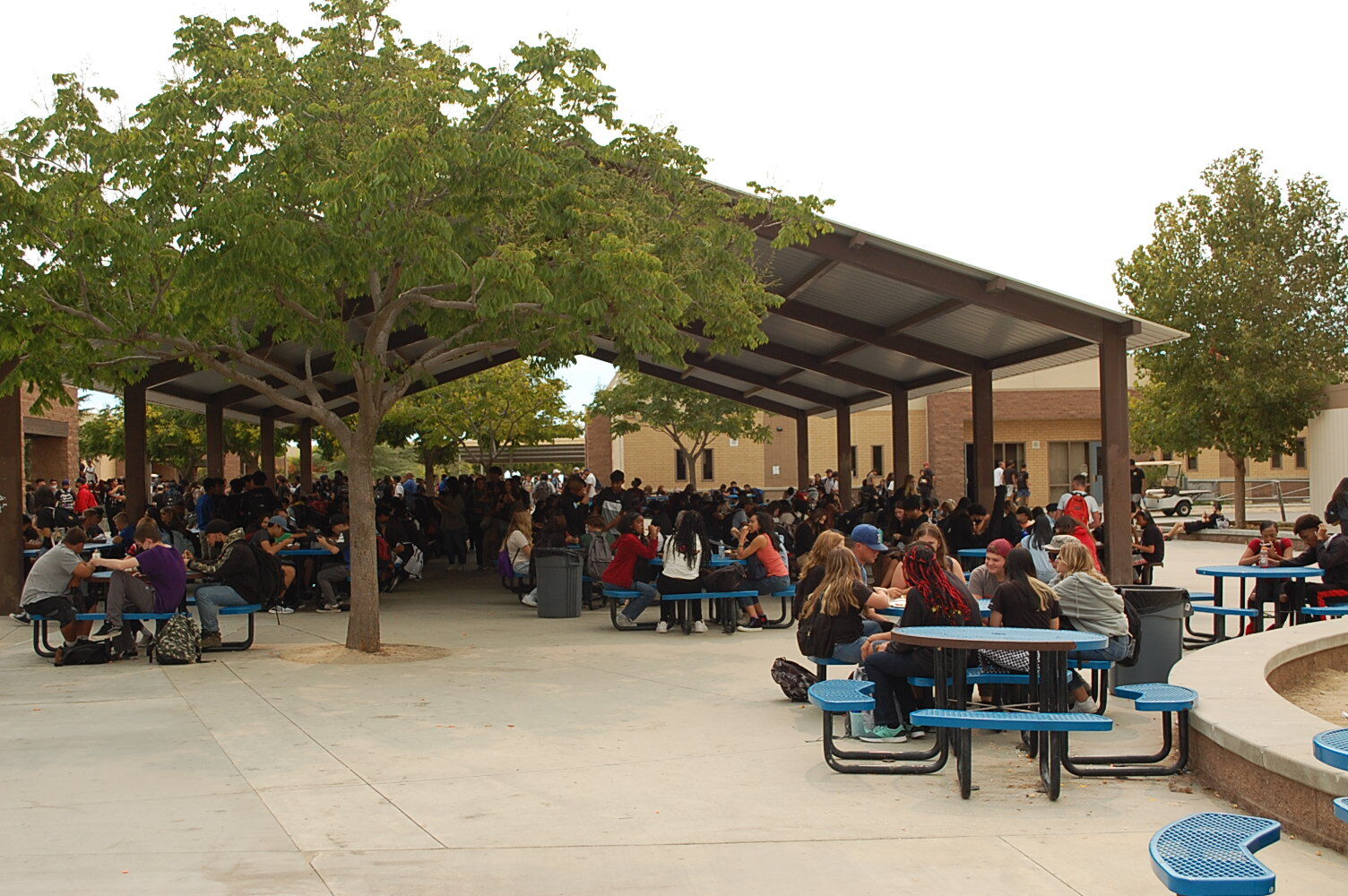 Fights investigated for school campus safety in Beaumont Schools