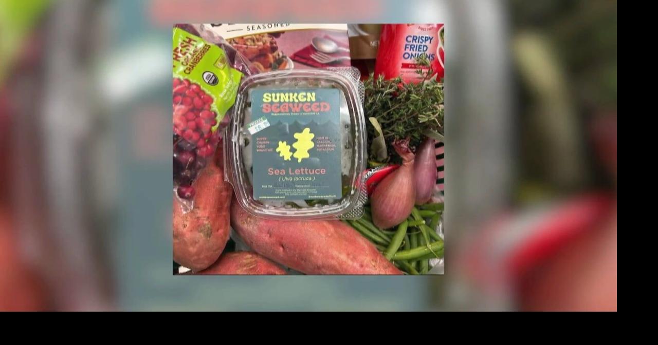 Startup Humboldt: Sunken Seaweed