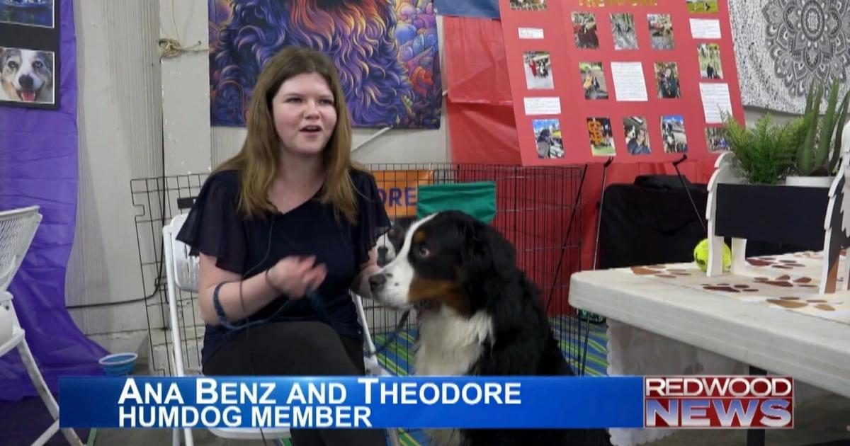 Hum Dog HumDog's Dog Expo displays dog sportsmanship and community | Local-news ...