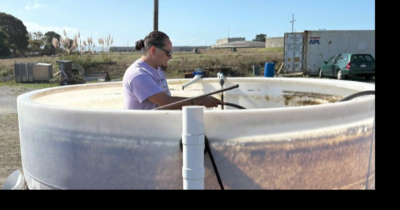 Startup Humboldt Spotlight: Underwater Native Foods