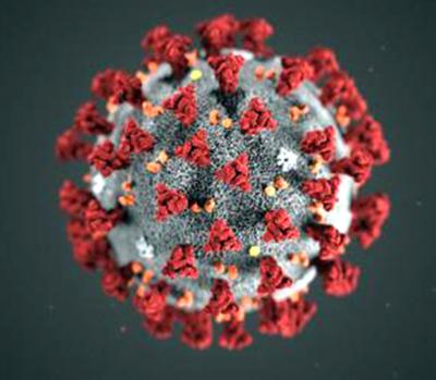 coronavirus