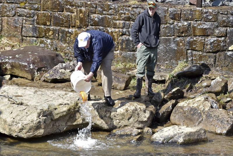 West Virginia Gold Rush on in Fayette County Sports