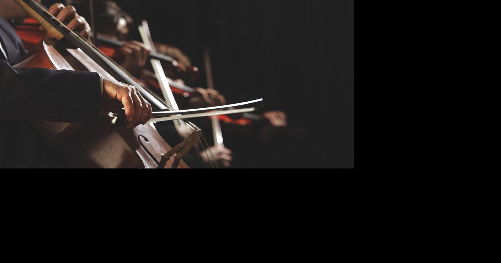 West Virginia Symphony Orchestra announces 2026 Vaughan Fellows